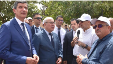 Photo of فلاحة:  احصاء 1.2 مليون مستثمرة فلاحية