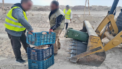 Photo of مداهمة مستودع لذبح الدواجن غير الشرعي بخنشلة وضبط 77 كلغ من الدجاج الفاسد