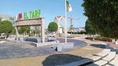 Photo of الطارف: إطلاق مشاريع تهيئة حضرية وفسخ عقود المقاولين المتقاعسين