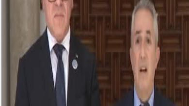 Photo of كريم زغيب: الجزائر قادرة على تصنيع بطاريات الليثيوم محليًا انطلاقًا من مواردها المنجمية