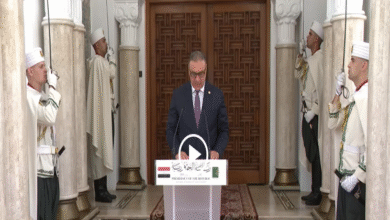 Photo of السفير المصري: العلاقات الجزائرية-المصرية استراتيجية وتزداد زخماً