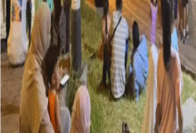 Photo of عروض سينمائية مفتوحة تُضيء ليالي بجاية الصيفية