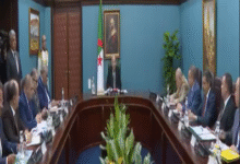 Photo of تبون يأمر بالتحقيق في اختلالات أضاحي العيد