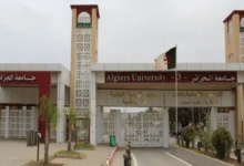 Photo of التعليم العالي يحدد 22 سبتمبر موعدًا لانطلاق السنة الجامعية 2025-2026