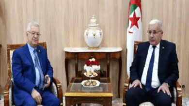 Photo of بوغالي وناصري يؤكدان على تعزيز التنسيق بين غرفتي البرلمان