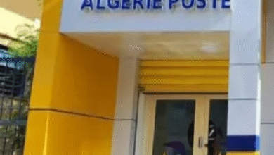 Photo of بريد الجزائر تدعو المترشحين لمسابقات التوظيف إلى تأكيد بياناتهم الرقمية بشكل عاجل