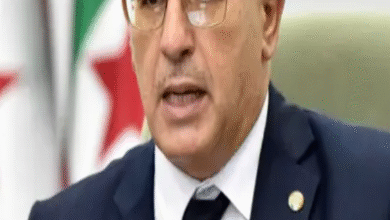 Photo of بوغالي: الدبلوماسية الجزائرية تجسيد لقيم نوفمبر والتزام بالسلم والحوار