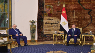 Photo of الوزير الأول الجزائري يجري محادثات مع الرئيس المصري لتعزيز التعاون الثنائي