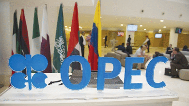 Photo of الجزائر تشارك في اجتماعات أوبك وأوبك+ وتؤكد التزامها بقرارات الخفض واستقرار السوق