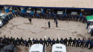 Photo of تنسيق أمني مشترك بالبيض يطيح بمبحوث عنهم ويضبط ممنوعات مع نهاية 2025