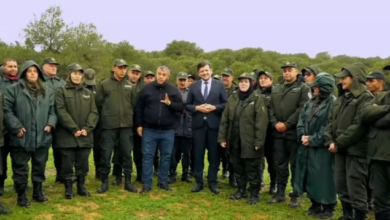 Photo of حملة وطنية لتشجير خمسة ملايين شجرة في 14 فيفري