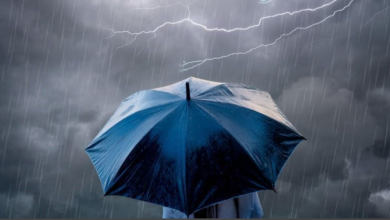 Photo of  أمطار رعدية ورياح وزوابع رملية في عدة ولايات