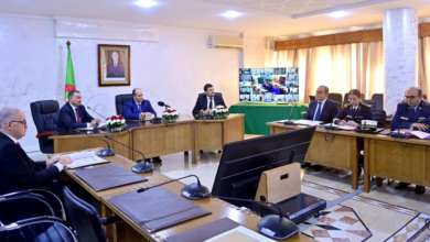 Photo of الوزير الأول يقيّم جاهزية خطة مواجهة الجراد بالجنوب الغربي