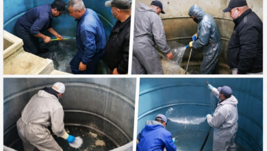 Photo of برج بوعريريح/ تنظيف شامل لخزانات المياه بالإقامة الجامعية العناصر 02