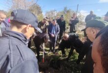 Photo of غرس 100 شجرة بسيدي أمبارك احتفاءً باليوم العالمي للغابات