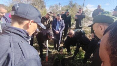 Photo of غرس 100 شجرة بسيدي أمبارك احتفاءً باليوم العالمي للغابات