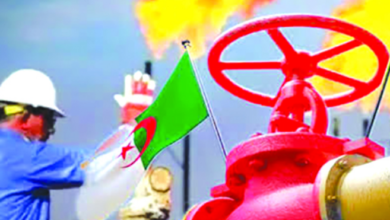 Photo of  الجزائر تعزز مكانتها كشريك طاقوي موثوق وتسعى لمضاعفة الإنتاج