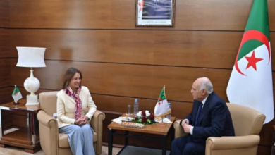 Photo of حراك دبلوماسي جزائري لتعزيز الشراكات وخدمة الجالية بالخارج