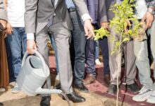 Photo of قسنطينة تفتتح موسم الزهر والورد وتحتفي بتراثها الحرفي في مهرجان سنوي