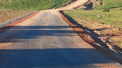 Photo of الشافية (الطارف): رئيسة دائرة بوثلجة تؤكد تسريع المشاريع التنموية والأمن المائي