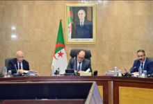 Photo of عنوان: الحكومة تراجع الصفقات العمومية وتطلق إستراتيجية وطنية لمكافحة السرطان