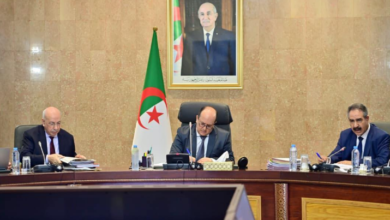 Photo of عنوان: الحكومة تراجع الصفقات العمومية وتطلق إستراتيجية وطنية لمكافحة السرطان