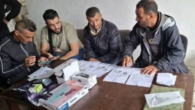 Photo of انطلاق بيع الأضاحي المستوردة بمستغانم