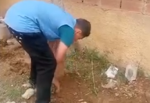 Photo of برج بوعريريج / متوسطة صيودة الحسين بغيلاسة تختتم السنة الدراسية بحملة نظافة وتشجير ورسائل توعوية