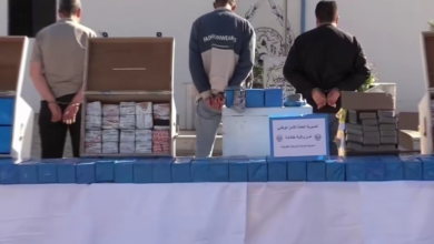 Photo of شرطة خنشلة تحجز 242 كلغ من الكيف المعالج