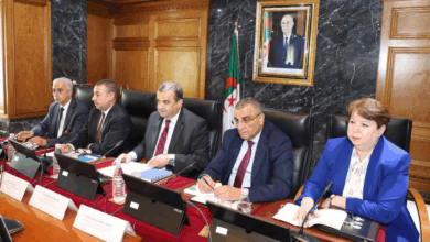 Photo of دفع جديد لمشروع غارا جبيلات لتعزيز السيادة الصناعية في الجزائر