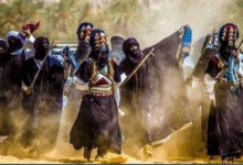 Photo of مهرجان “سبيبا” بجانت يعود في دورته الـ17 ببرنامج ثقافي متنوع