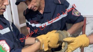 Photo of الحماية المدنية تُنقذ مواطنة من ثعبان داخل شقة بعين تاغروت