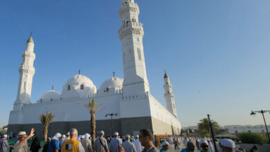 Photo of تفويج الحجاج لزيارة مزارات المدينة المنورة