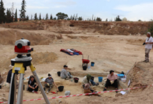 Photo of اكتشاف ناب فيل نادر بموقع تيغنيف يعزز القيمة العلمية للتراث الجزائري
