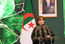 Photo of بن دودة: حماية الفنان أولوية وإطلاق إصلاحات لتعزيز الصناعة الثقافية