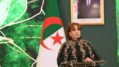 Photo of بن دودة: حماية الفنان أولوية وإطلاق إصلاحات لتعزيز الصناعة الثقافية