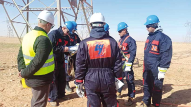 Photo of ربط مئات المستثمرات الفلاحية بالكهرباء في تمنراست