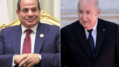 Photo of تبون والسيسي يبحثان العلاقات الثنائية وتطورات المنطقة