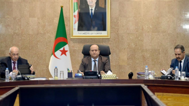 Photo of الحكومة تسرّع إصلاحات الموانئ والاتصالات والإعلام الرقمي