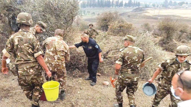 Photo of ملحمة التضامن الوطني تطوق حرائق الغابات