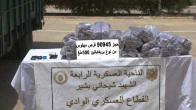 Photo of الجيش يحبط تهريب مخدرات ويوقف 404 أشخاص في أسبوع