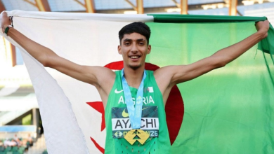 Photo of تبون يهنئ بطل العالم يونس عياشي