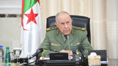 Photo of شنقريحة يهنئ مستخدمي الجيش الوطني الشعبي بمناسبة اليوم الوطني للمجاهد