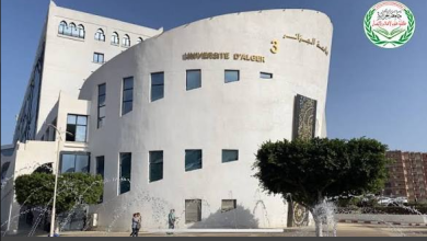 Photo of جامعة الجزائر 3 تطلق دكتوراه وطنية في السينما والصناعات الإبداعية