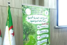 Photo of خنشلة.. نحو إنشاء علامة جماعية لزيت الزيتون لتعزيز جودة المنتج المحلي
