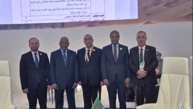 Photo of الجزائر نائبًا لرئيس المكتب التنفيذي للمجلس الوزاري العربي للكهرباء