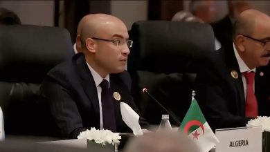 Photo of سفيان شايب من بغداد: نجدد دعمنا المطلق لفلسطين ونعدو لتضامن إسلامي فاعل