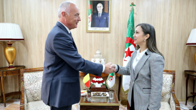 Photo of الجزائر وبلجيكا تبحثان تعزيز التعاون البرلماني والاقتصادي