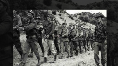 Photo of أصداء الثورة بالجهتين العربية والإسلامية