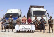 Photo of الجيش يوقف 592 مهاجرًا غير شرعي ويحجز 369 ألف قرص مهلوس